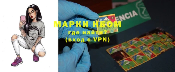 сатива Бронницы