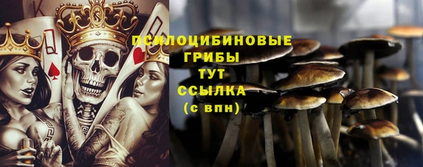 мдпв Бугульма