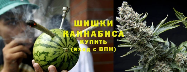 сатива Бронницы