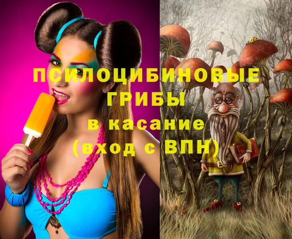 сатива Бронницы